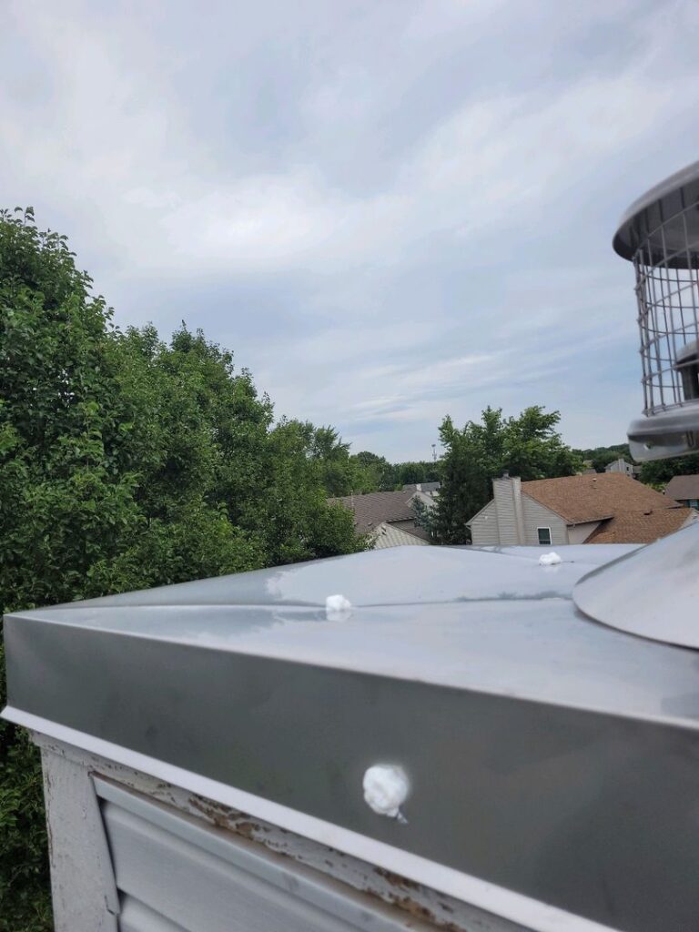 New stainless steel chase cover and chimney cap on a rooftop with houses and trees in the background.